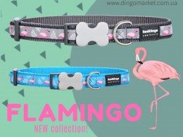 dingomarket_reddingo_flamingo_collar_new_collection92