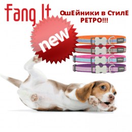 ошейники-для-собак-reddingo-dingomarket-reklama6